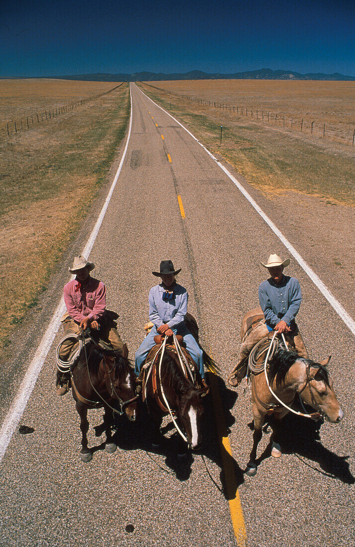 Blick von oben auf Cowboys zu Pferde auf einer Landstrasse, Santa Fe Trail, New Mexico, USA, Amerika