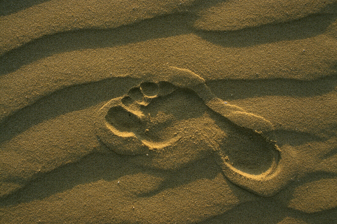 Fußspur im Sand, strand, Mecklenburg-Vorpommern, Deutschland