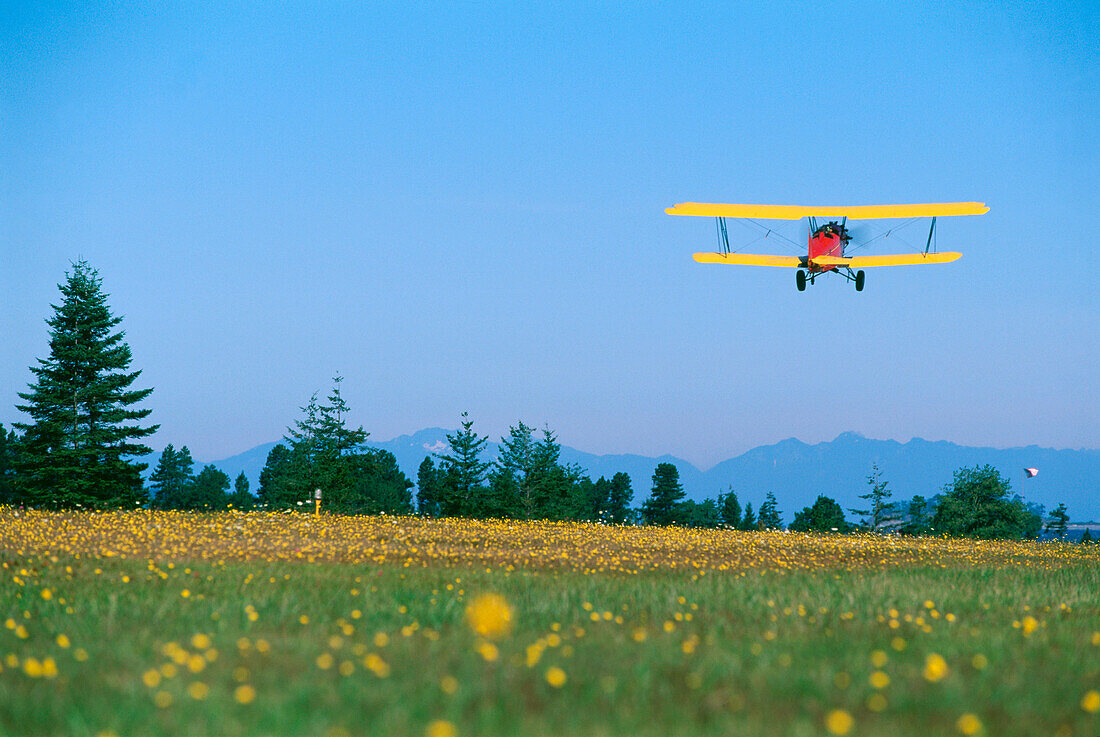 Flug mit Doppeldecker, über Blumenwiese