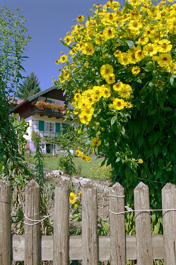 Haus mit Garten, Bayern, Deutschland