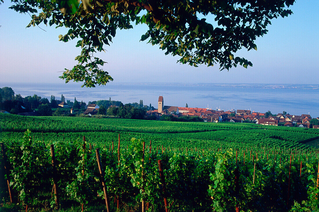 HagnauBodensee, Baden Wuerttemberg, Deutschland