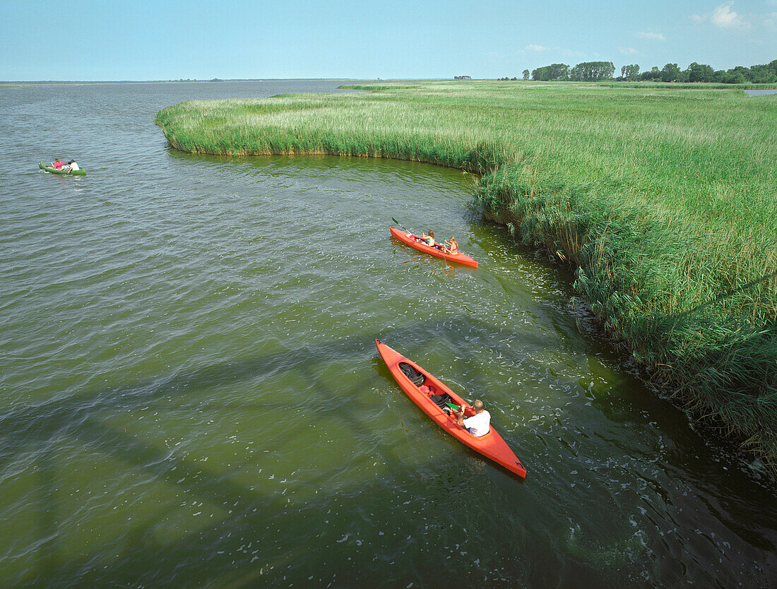 Canoe tour near Meiningerbruecke, Zingst, Fischland-Darss-Zingst Mecklenburg-Western Pomerania, Germany