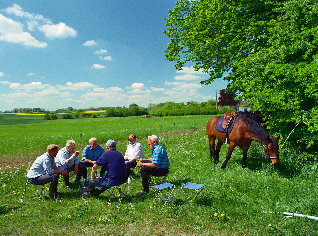 Fathers Day trip with horses, near Scheggerott Schleswig-Holstein, Germany