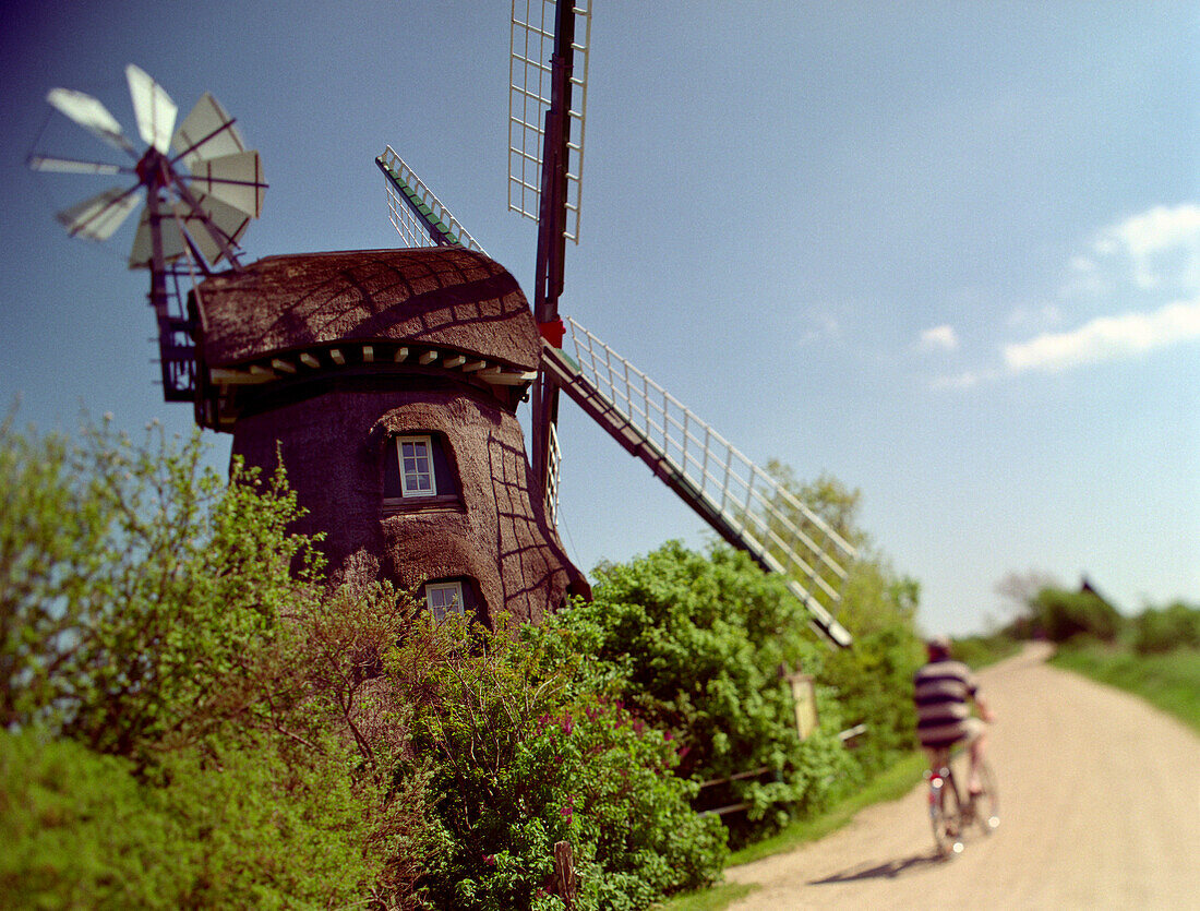 Biker beside windmill, Charlotte, Nature reserve Geltinger Birk Schleswig-Holstein, Germany