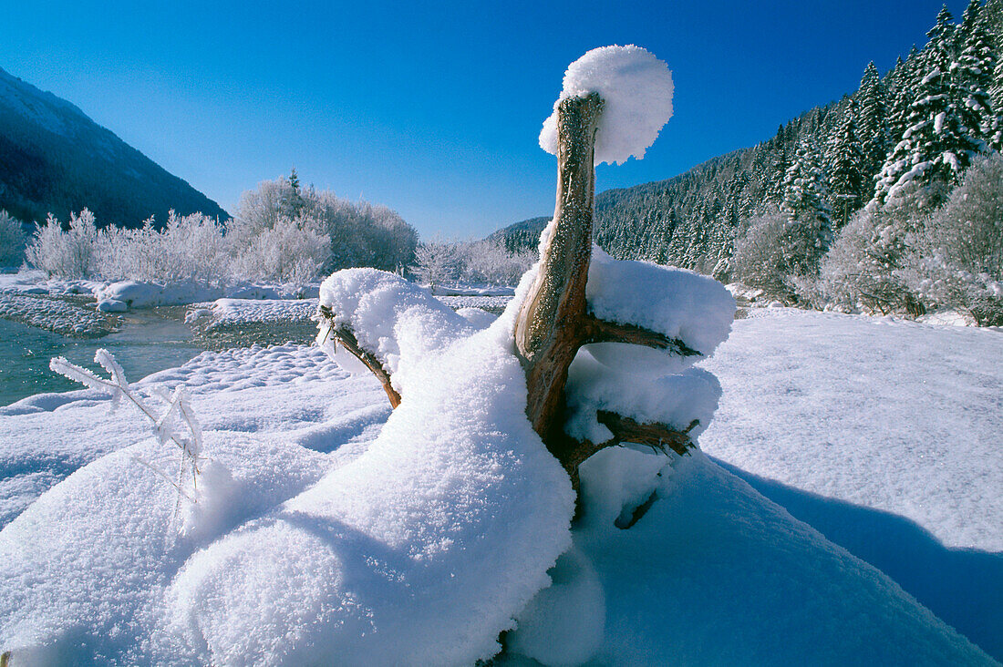 On the Isar River near Garmisch-Partenkirchen, Upper Bavaria, Germany, Isar near Vorderriss