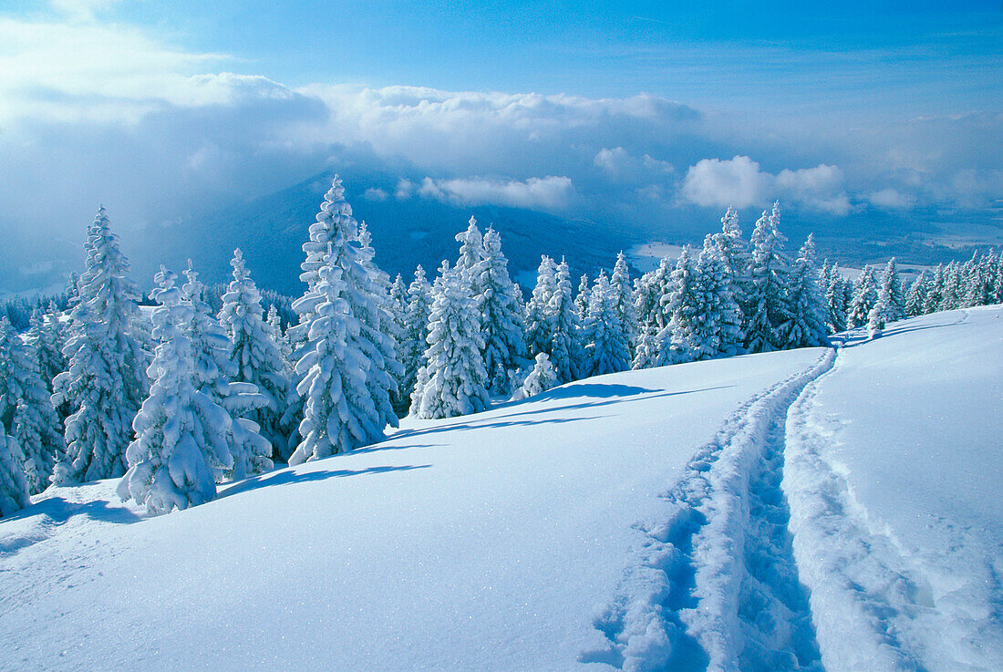 Winterlandschaft, Hörndl, Kohlgrub, Bayern, Deutschland