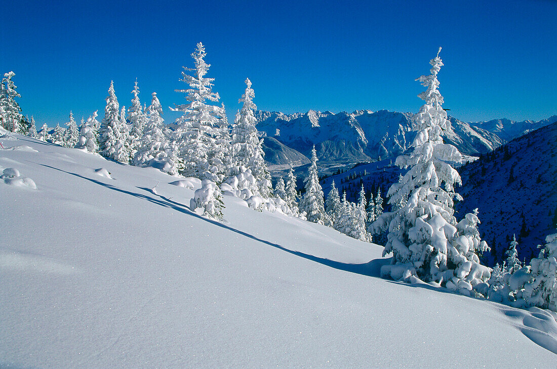 Winter scenery near Wank Mtn., Garmisch-Partenkirchen, Upper Bavaria, Germany