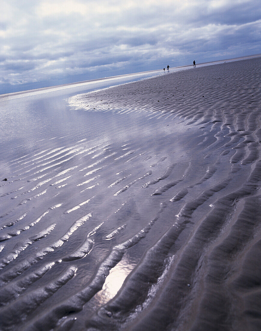 Walk when the tide is out, Amrum, North Sea, Schleswig-Holstein, Germany