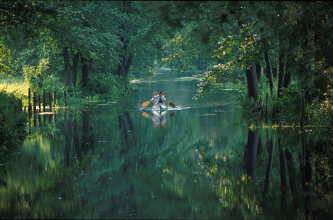 Canoe, Hauptspree, Spreewald, Brandenburg, Germany