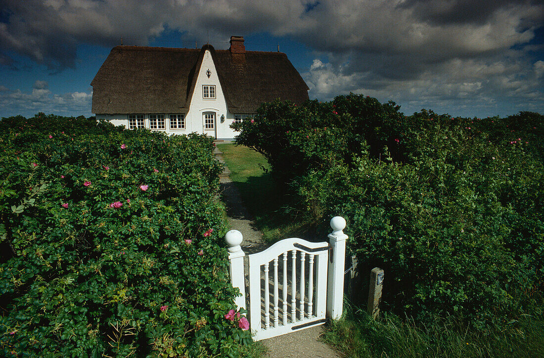 Farmhouse near Morsum, Sylt, North Sea, Schleswig-Holstein, Germany
