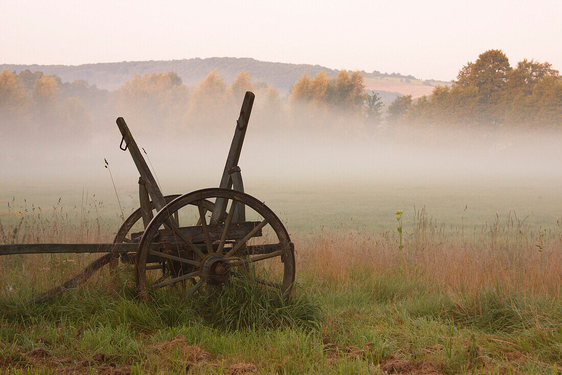 Herbstimpression