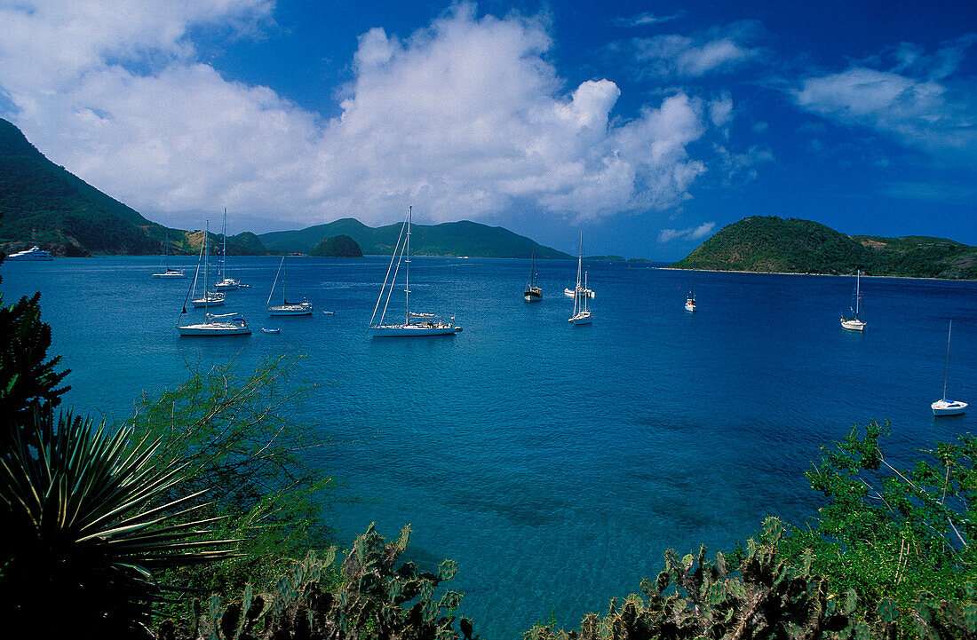 Sugar loaf, Pain de sucre, Iles de Saintes, Guadeloupe Caribbean, America