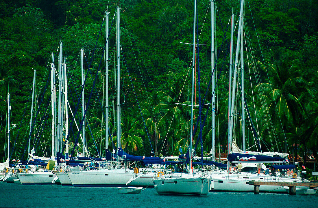 Sailing Boats, St. Lucia