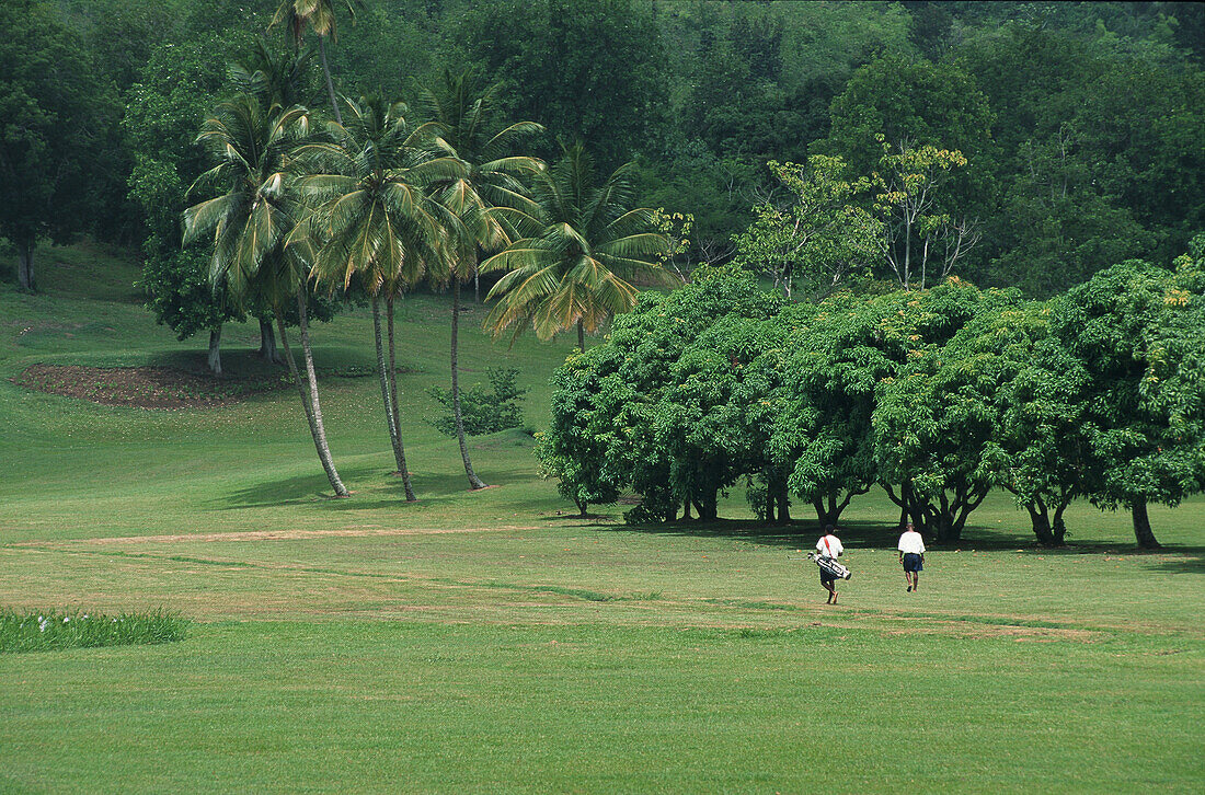 Menschen auf einem Golfplatz, St. Lucia, Karibik, Amerika