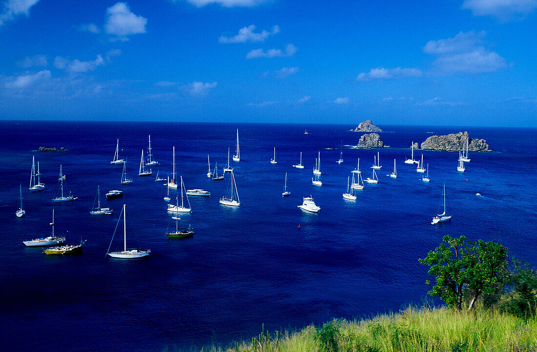 Sailing boats near Gustavia, St. Barthelemy, St. Barts Caribbean, America