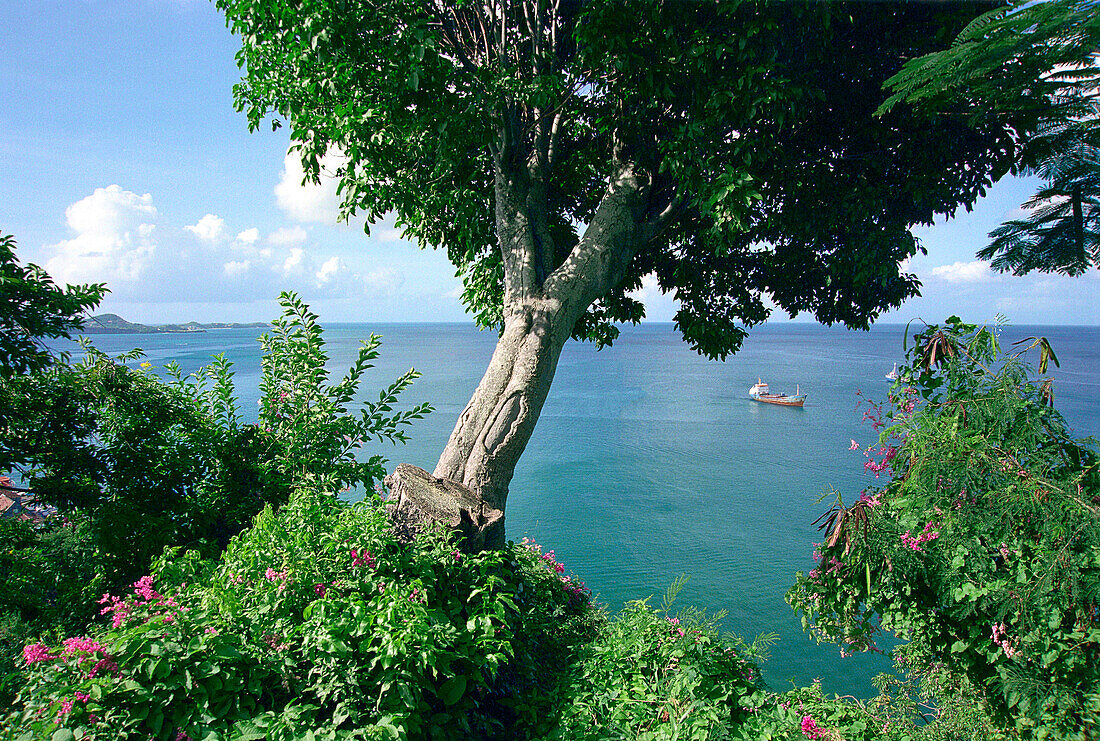 Boot in einer Bucht, St. George´s, Grenada, Karibik, Amerika