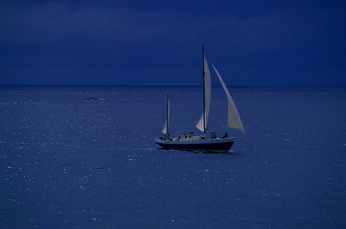 Fisherman, Tobago Caribbean, America