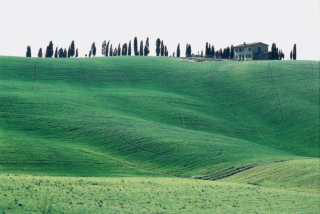 Huegellandschaft, Toskana-Italien