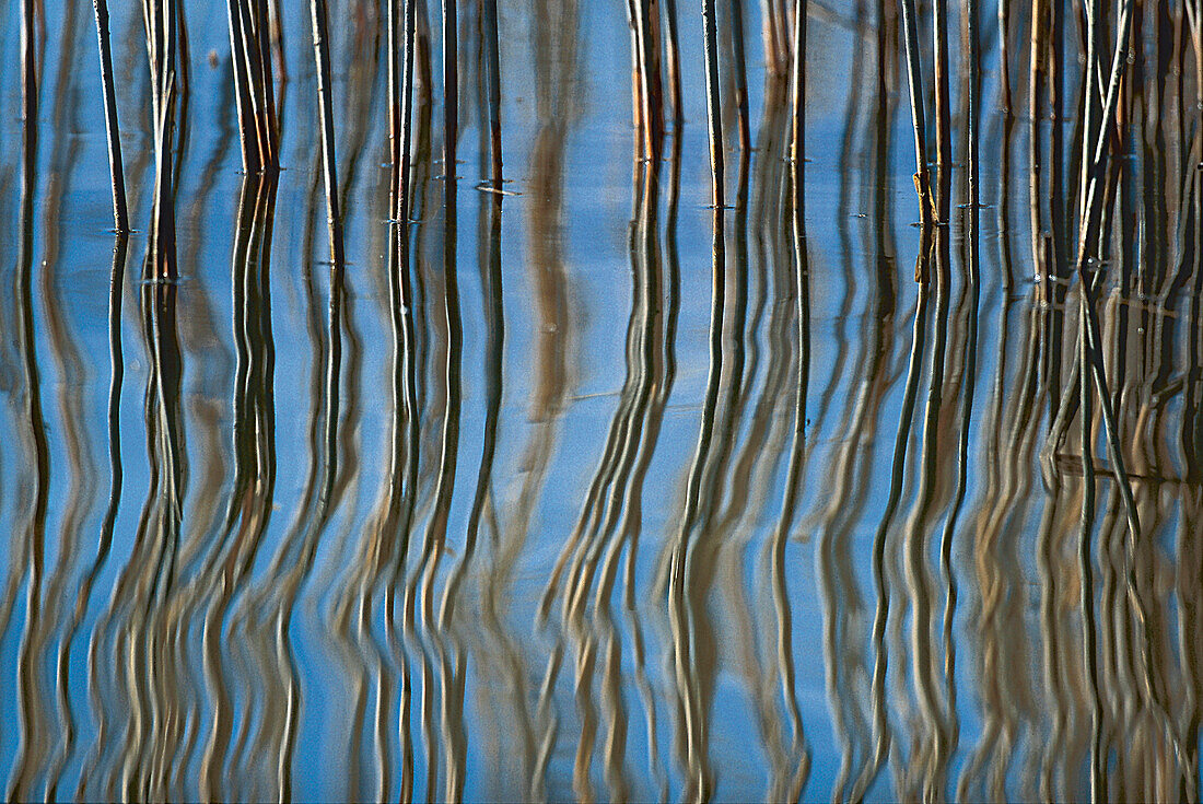 Reflection on water