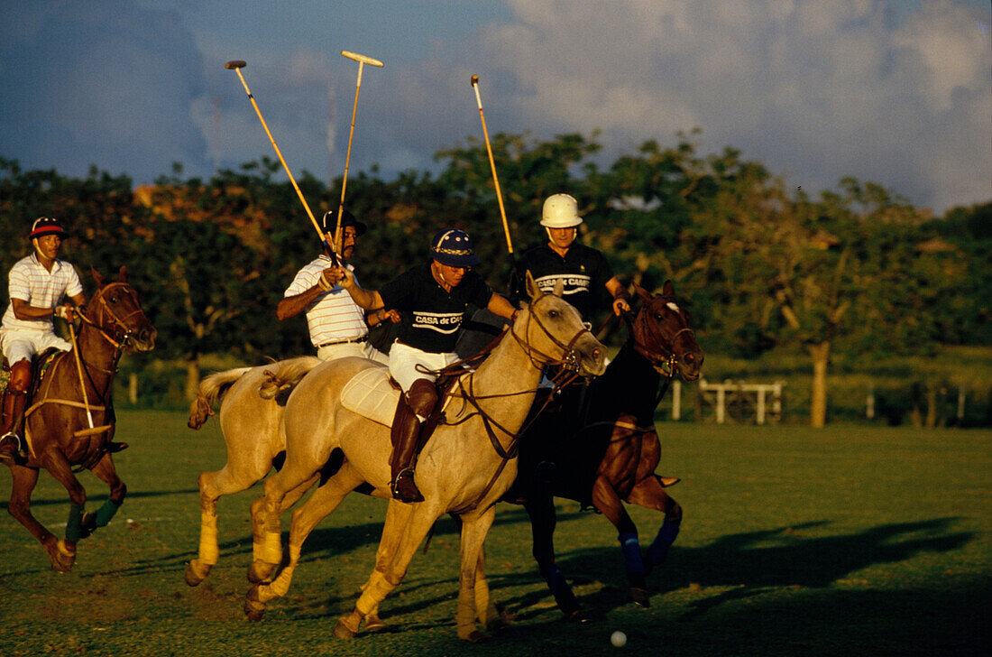 Polo, Casa de Campo, La Romana, Dominikanische Republik Karibik
