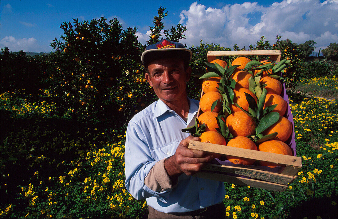 Farmer with box of oranges, Ribera, Sicily, Italy, Europe