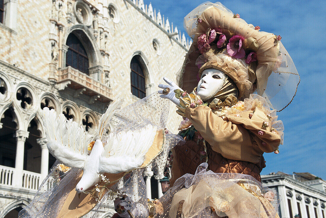 Carnival, person in disguise, Venice, Veneto, Italy, Europe