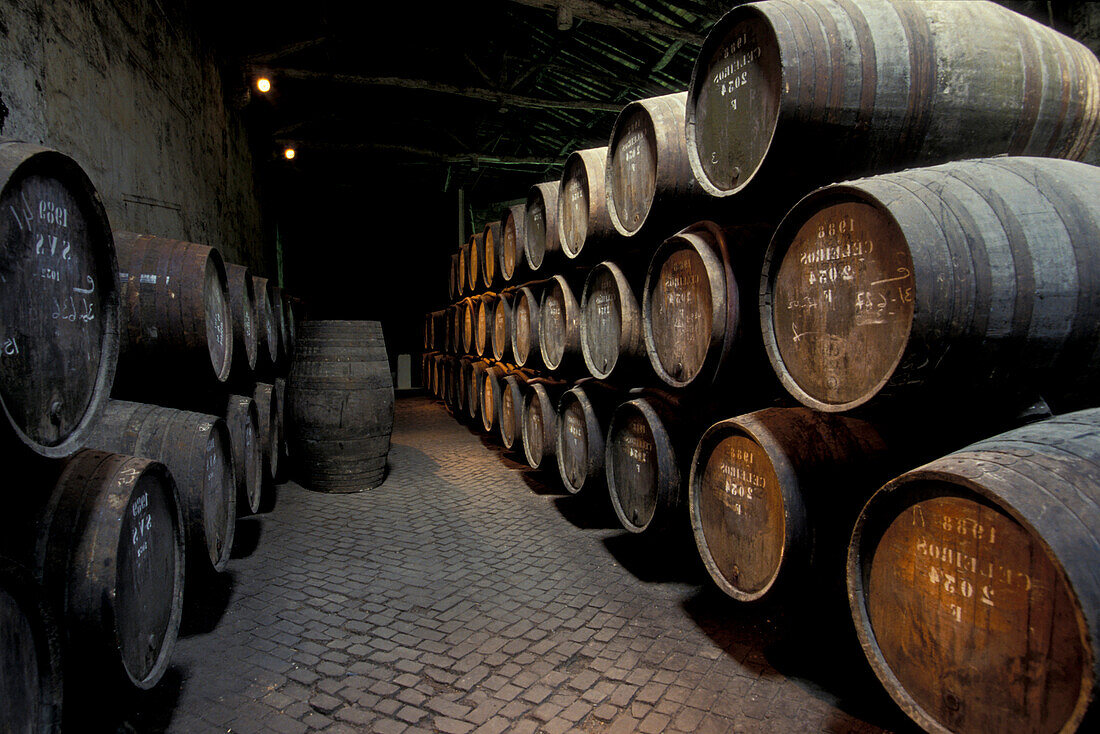 Blick auf Holzfässer mit Portwein, Porto, Portugal, Europa