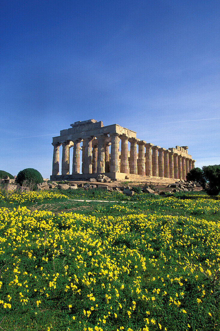 Heralon, Temple of Hera, Selinunte Sicily, Italy