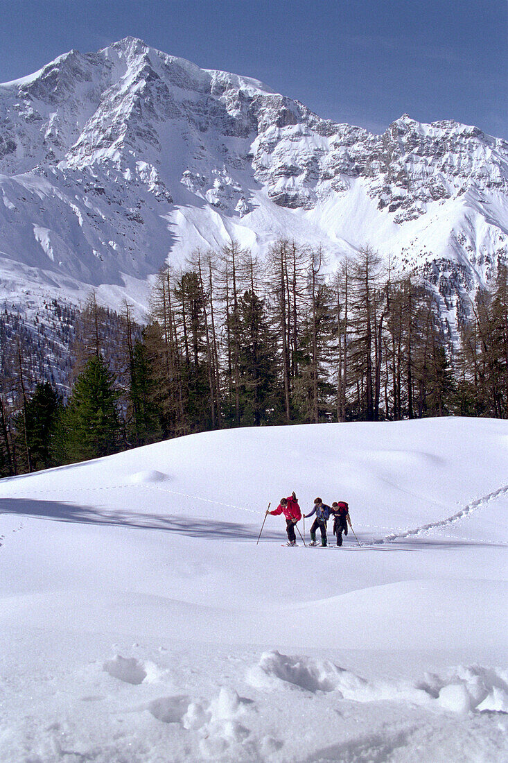 Three people on a skitour, Sulden, South Tyrol, Italy