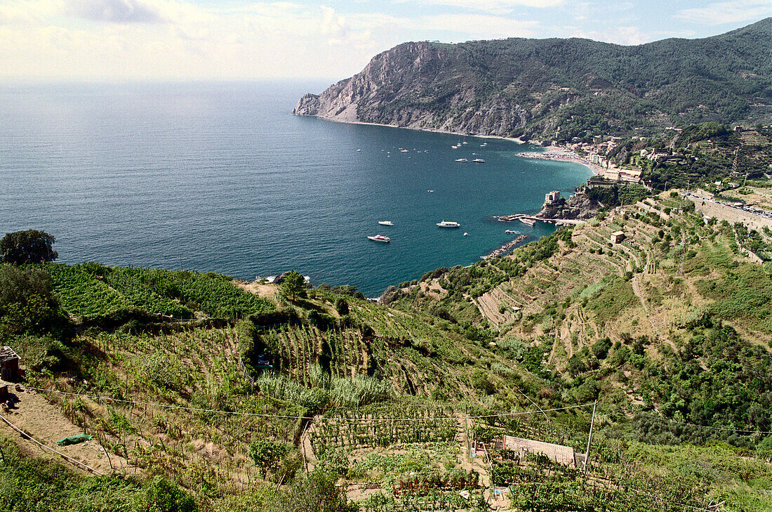 Coastline, Monterosso al Mare, Cinque Terre, Liguria Italy