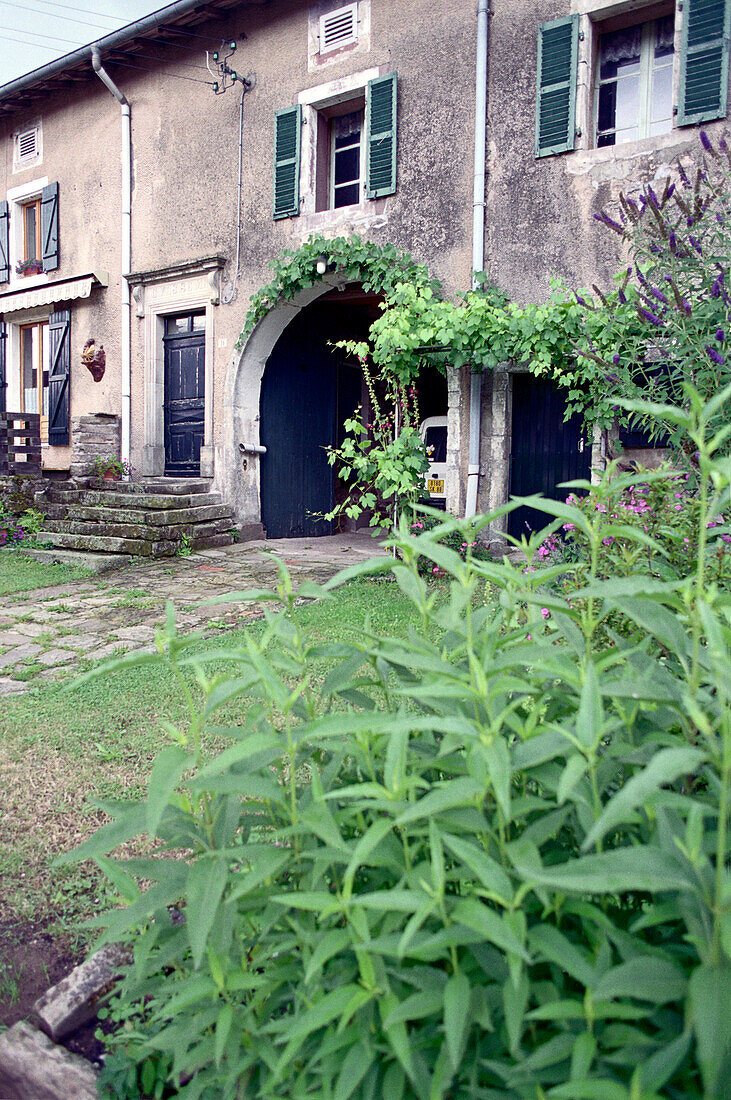 Old House with Garden, Vogesen France