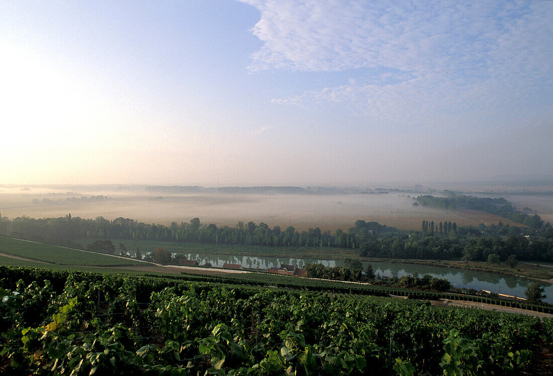 Typical landscape, River Marne, Champagne France