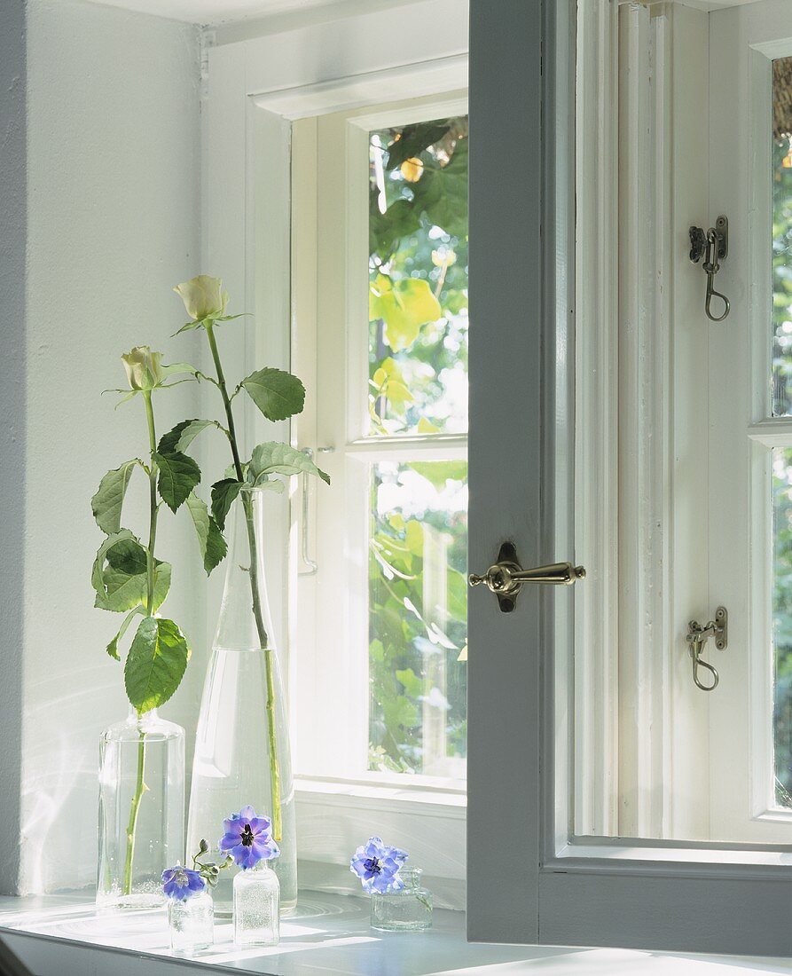 Glasvasen mit weissen Rosen auf der sonnigen Fensterbank