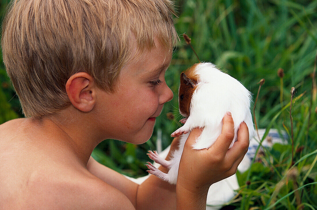 Boy with guinea pig