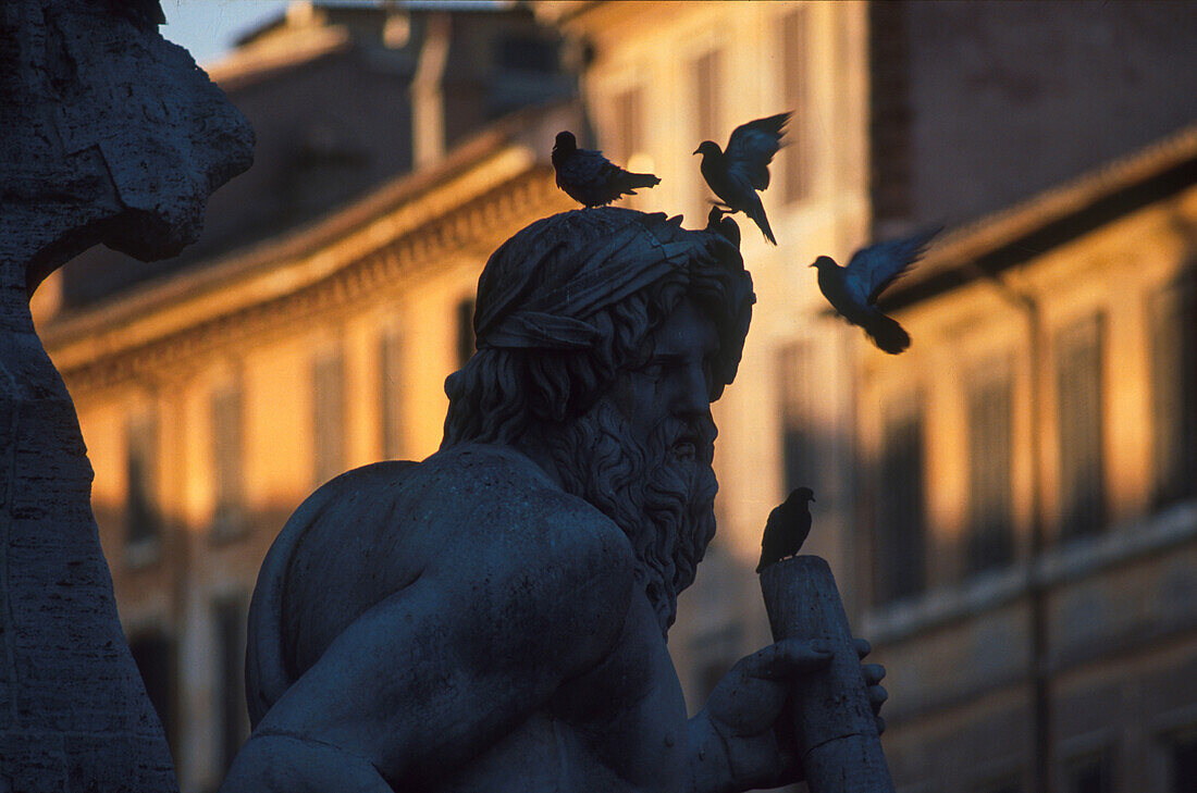 Statue and pigeons at sunset, Piazza Navona, Rome, Italy, Europe