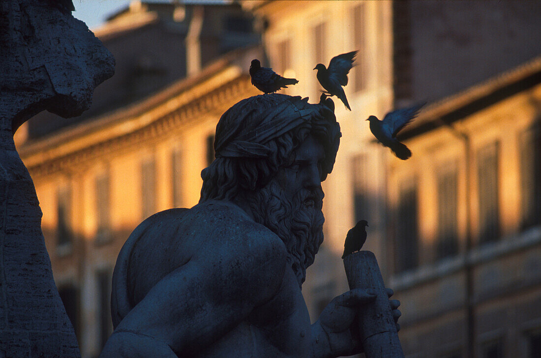 Statue mit Tauben bei Sonnenuntergang, Piazza Navona, Rom, Italien, Europa