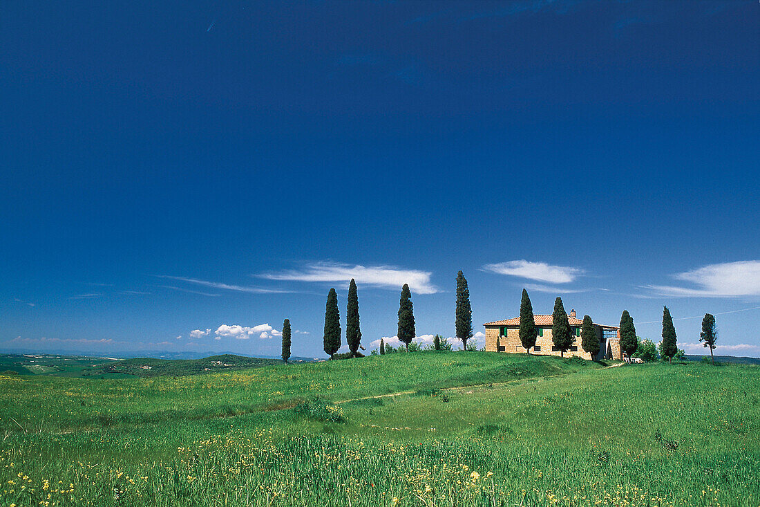 Meadow with Cypresses and country house, Tuscany, Italien