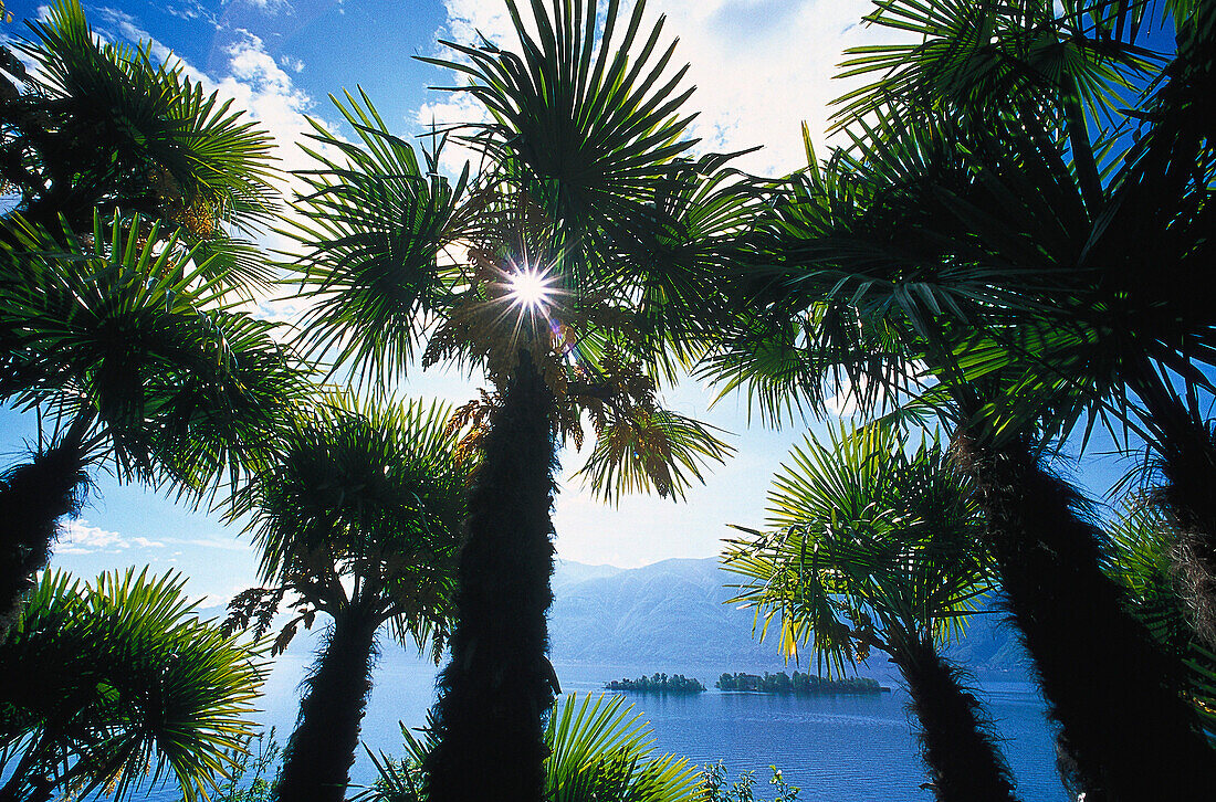 Lago Maggiore, Tessin Schweiz