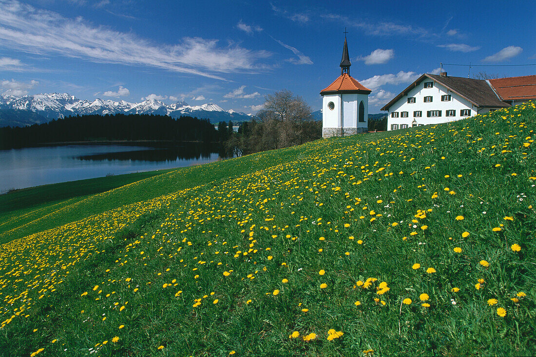 Hegratsriedsee und Hegratsrieder Kapelle nahe Füssen, Alpenvorland, Allgäu, Deutschland