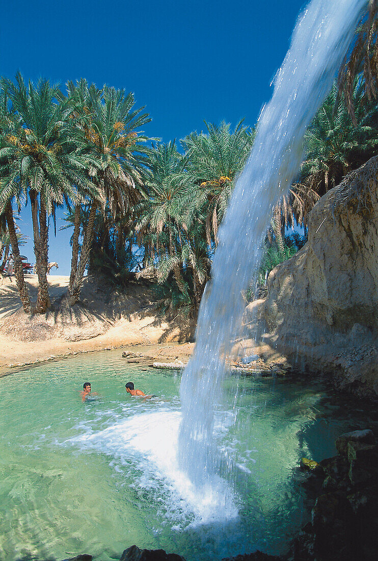 Spring with waterwall, Oasis, Tozeur, Tunis