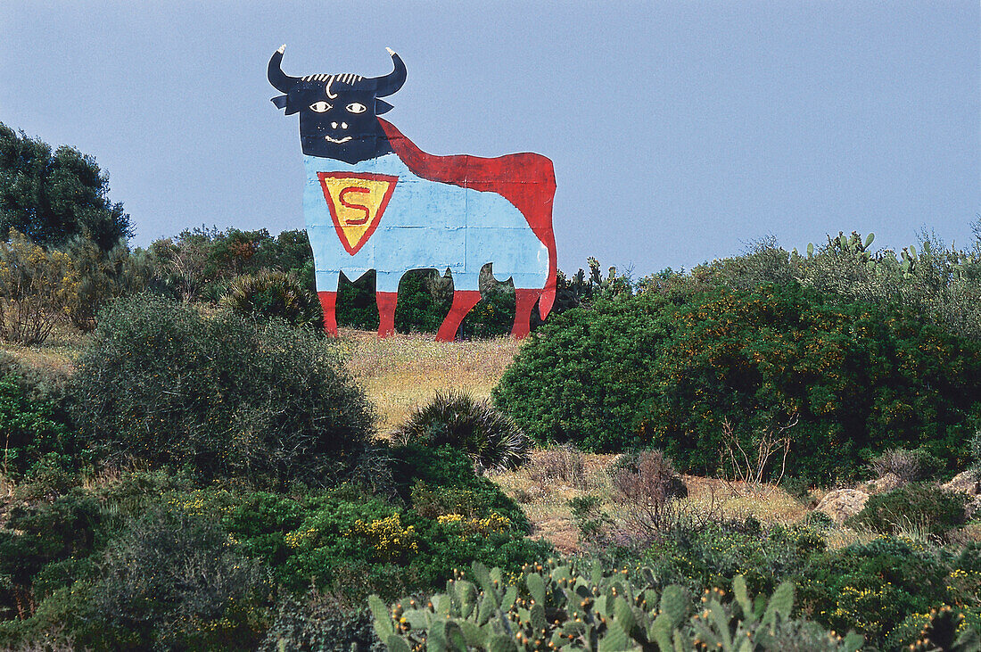 Bemaltes Schild eines Stiers in abgelegener Landschaft, Andalusien, Spanien, Europa