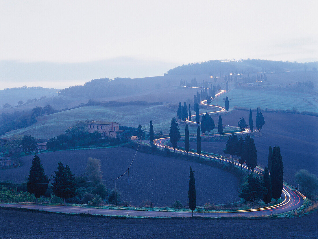 Serpentinenstraße mit Zypressen in der Dämmerung, Nähe Montepulciano, Toskana