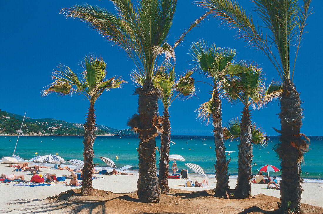 Strand, Cote d'Azur, Frankreich