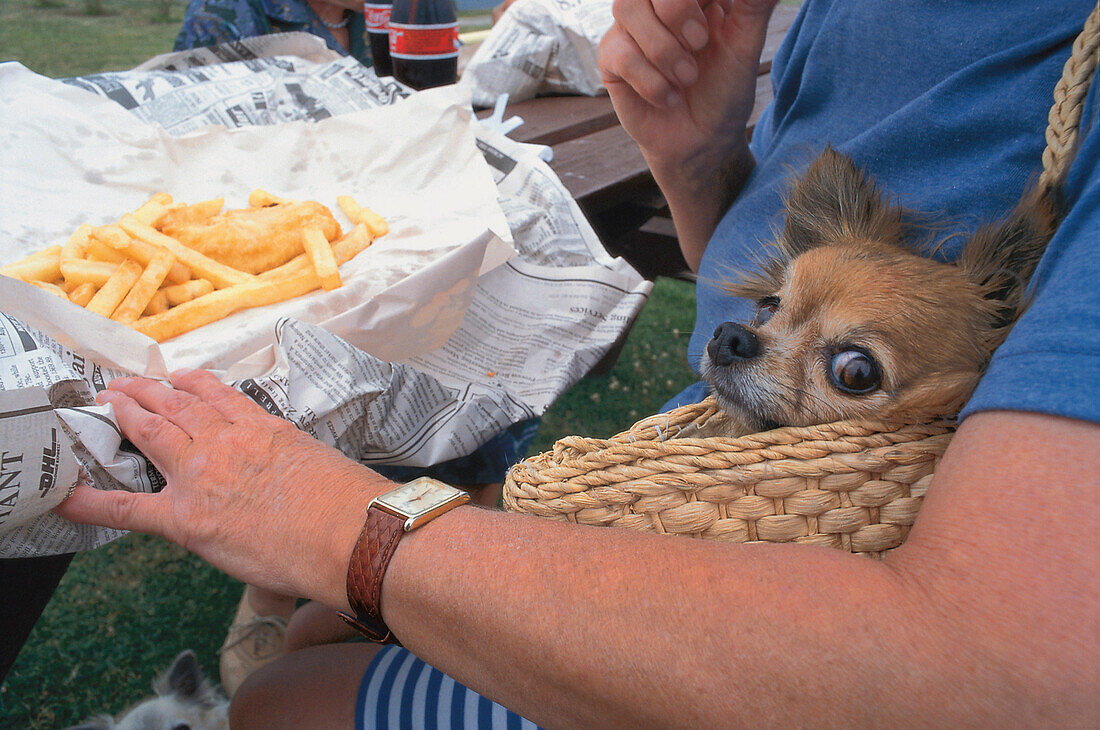 Fish and Chips, Neuseeland