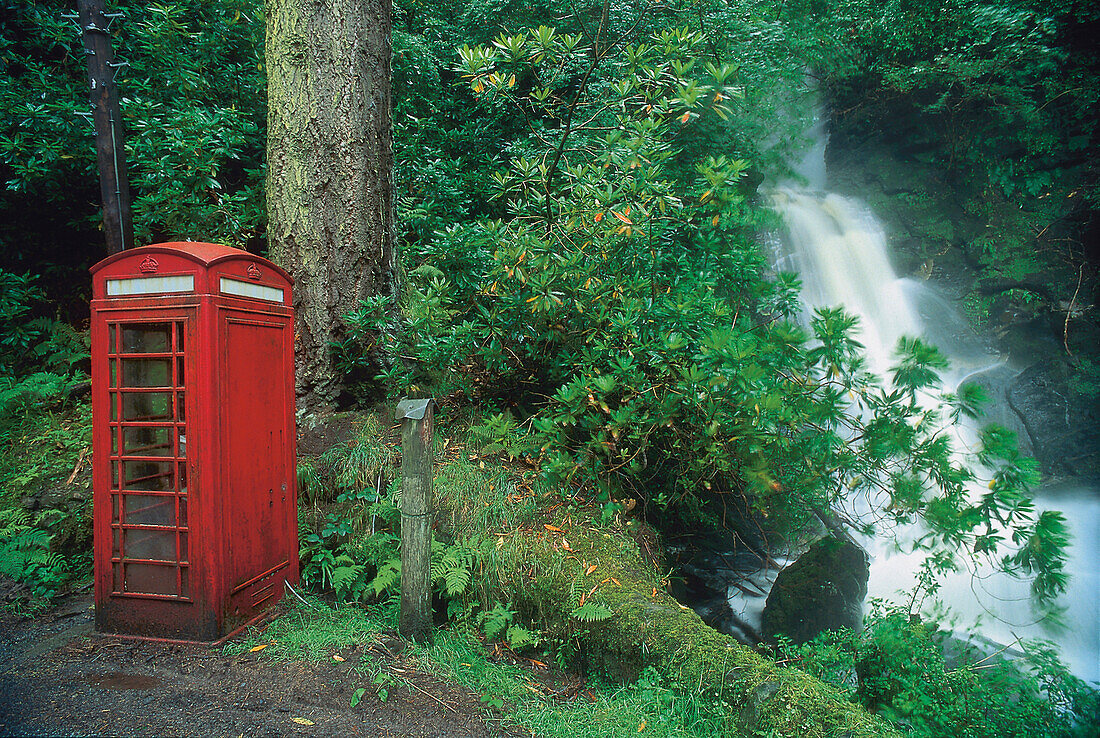 Telefonzelle im Wald, Carsaig, Mull, Schottland, Großbritannien