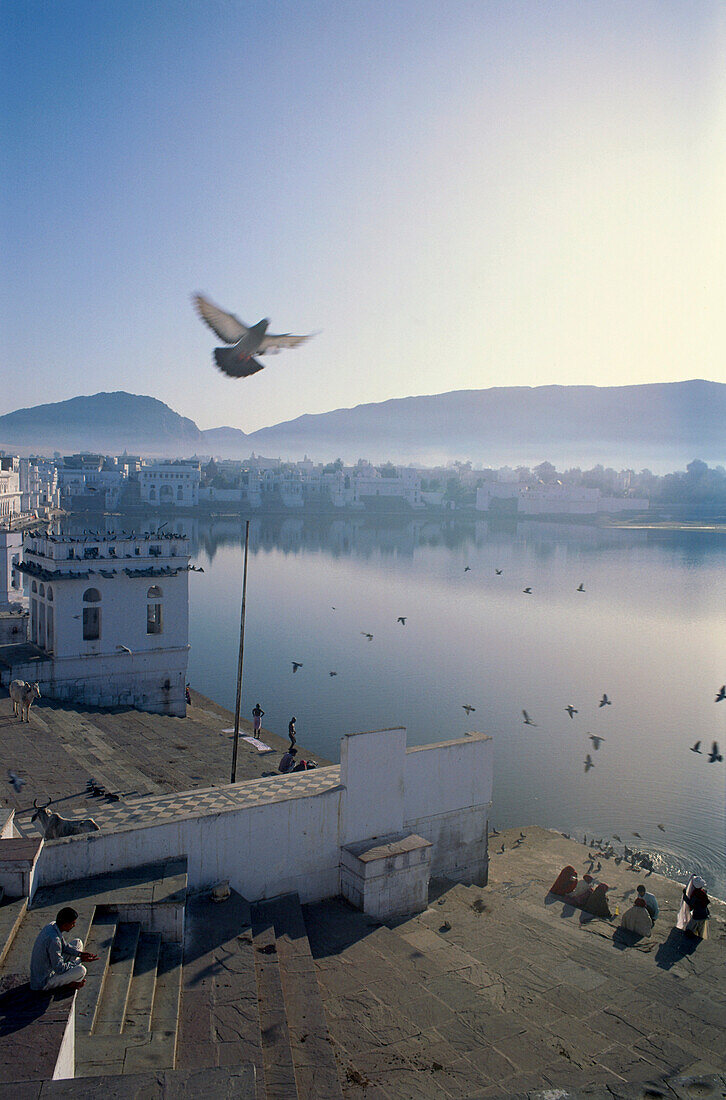Priester und Tauben morgens am Heiligen See, Pushkar, Rajasthan, Indien