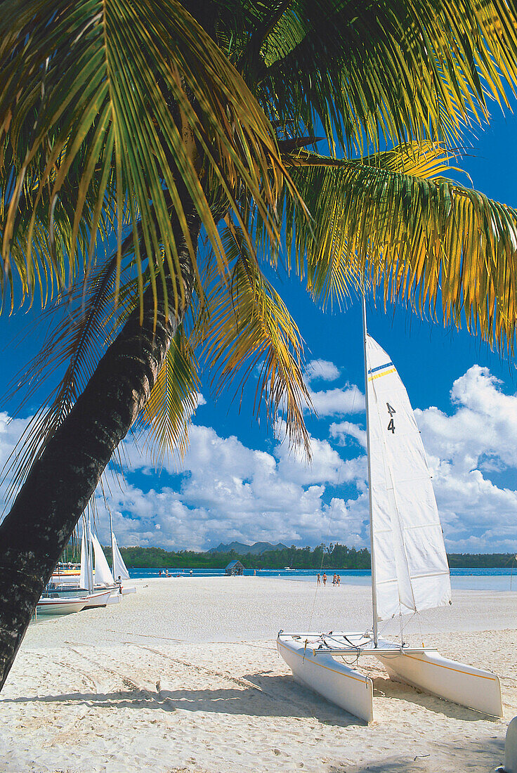 Catamaran, Ile aux Cerfs, Mauritius Africa