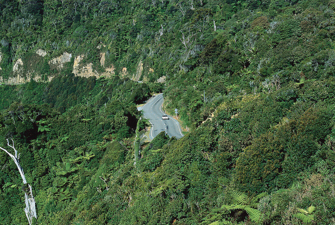 Paparoa Nationalpark, Westkueste, Suedinsel Neuseeland