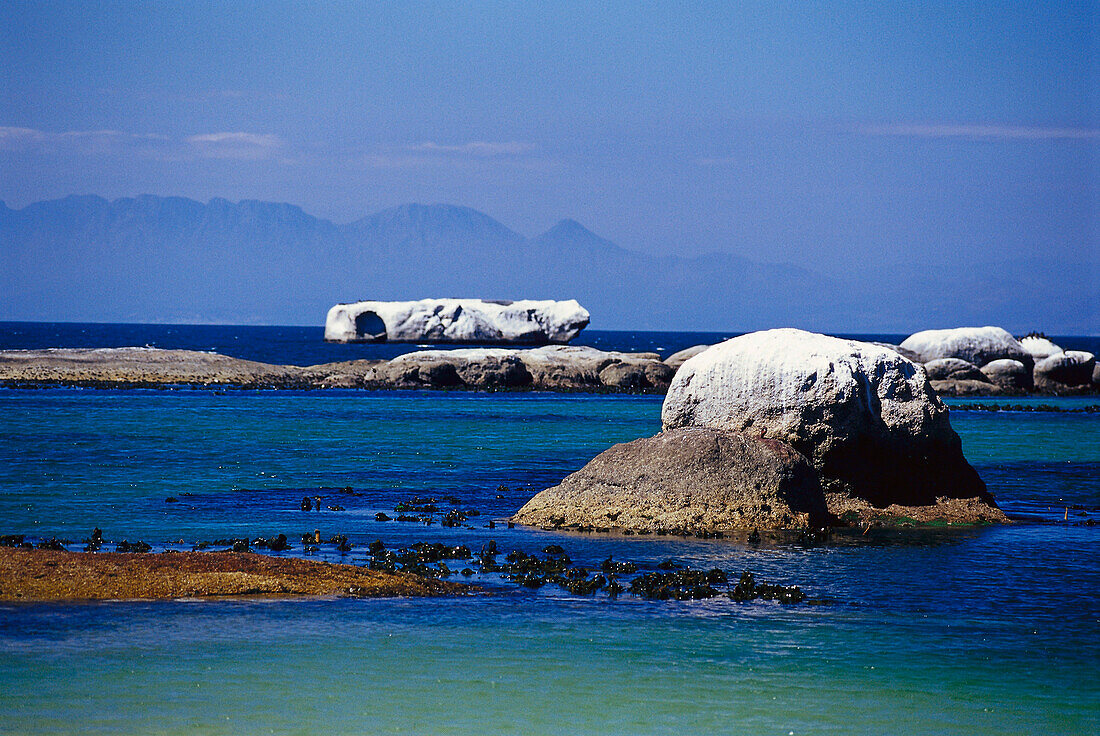 Boulders in front of Cape of Good Hope, Boulders Beach, Cape Town, South Africa, Africa