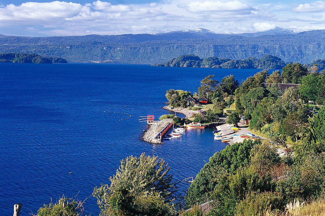 Blick auf Seeufer am Lago Villarrica, Chile, Südamerika, Amerika